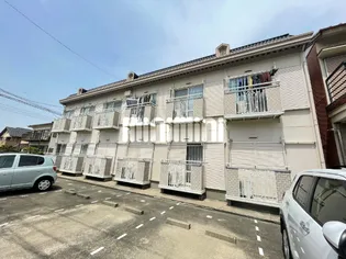 フェリカ大金の画像