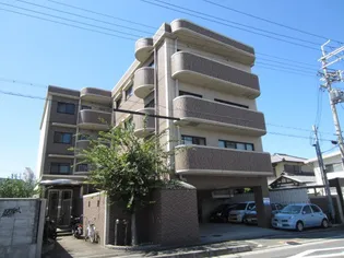 オリーブ上松の画像