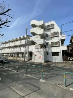 エクセレント泉の画像