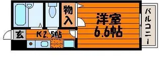 グリーンパキラ【1階】の間取り