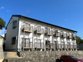 グリーンパキラの画像