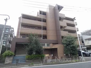 オキザリスの画像