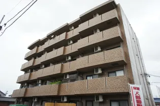 フランカーサの画像
