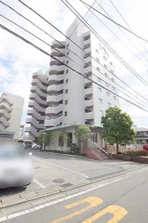 LIBERTY OAKの画像