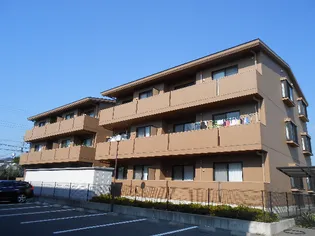 レアールマンションセレッソA棟【1階】の外観