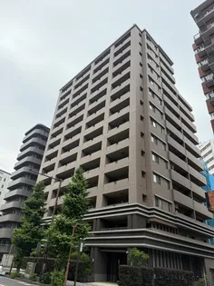 ナイス・エス・アリーナ川崎駅前通【4階】の外観