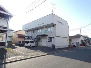 シップスシェリーの画像