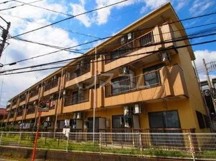 エバーグレイス分倍【3階】の外観