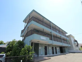 オアシスの画像