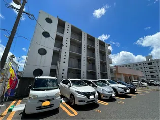 シャングリラV【4階】の外観