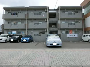 なでしこの画像