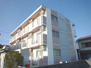 サムサラの画像