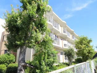 サングリーン3の画像