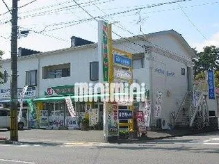 メイプルマツウラの画像