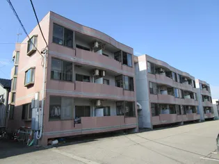 アネシス24の画像