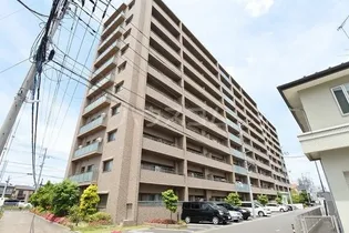 サーパスシティ守谷【9階】の外観