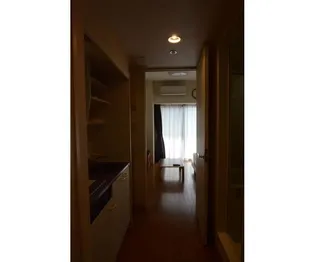 Urban Link蒲田【8階】の玄関