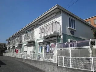 メイプルYの画像