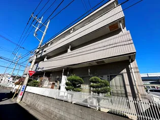 プリムローズの画像