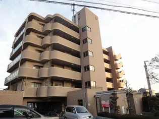 カサベルデ中百舌鳥の画像