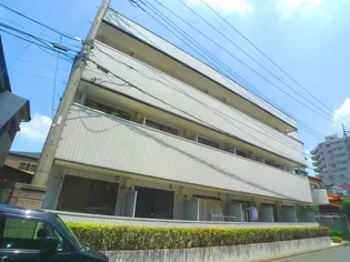 エクセルコートの画像