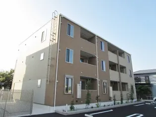 プラシードBの画像