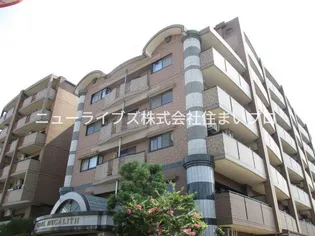 パールメガリスの画像