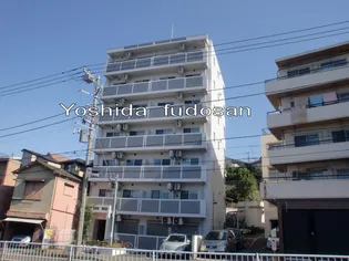 ルミエール藤棚の画像