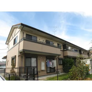 ヴィヴァーチェの画像