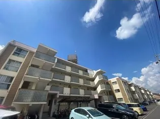 ユーハウス第2ゆたか台東棟の画像