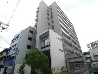 ハナミズキ福島の画像