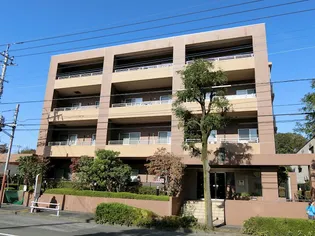 らくりーぶ21森野の画像