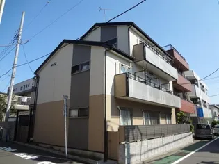ルーチェトキワダイの画像