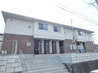 アンビエラAの画像