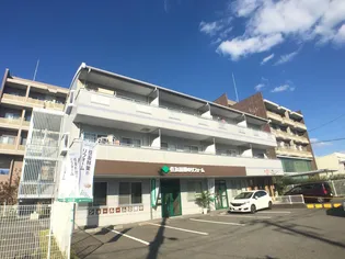 フェアリーコートの画像