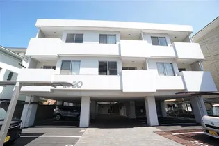 エルム20の画像