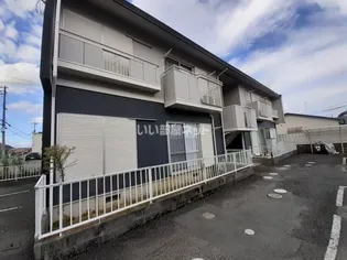 タウニィ千木の画像