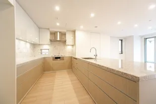 千代田ハヤシビル【5階】のキッチン