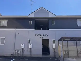 ビバリータウン林B【1階】の外観