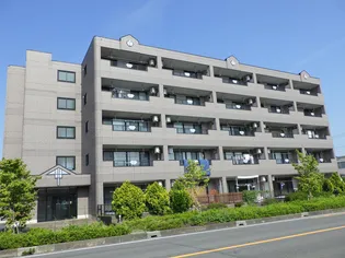 ヒナタ グレイス ガーデンの画像