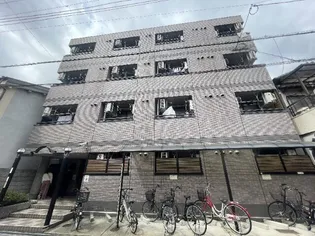 シェルコートの画像