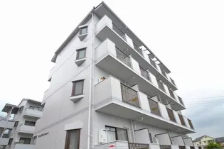 パインハウスII【2階】の外観