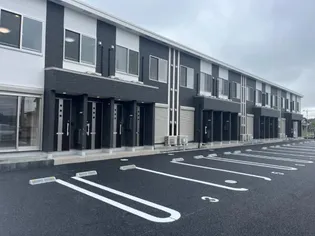 ゴールデンフラワーの画像