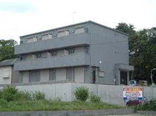 ボナール桜の画像