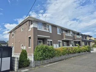 セフィオ グレースFの画像