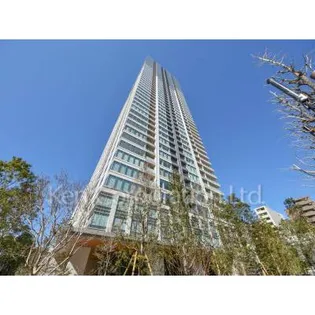 白金ザ スカイの画像