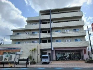 神奈川県相模原市南区相模大野6【マンション】の外観