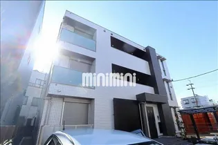 グレイシアコート市場木の画像