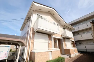 プラム グローヴの画像