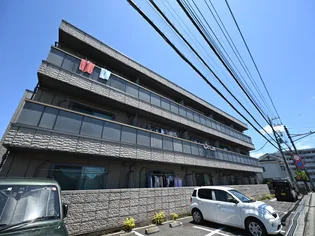 SUN LIGHTの画像
